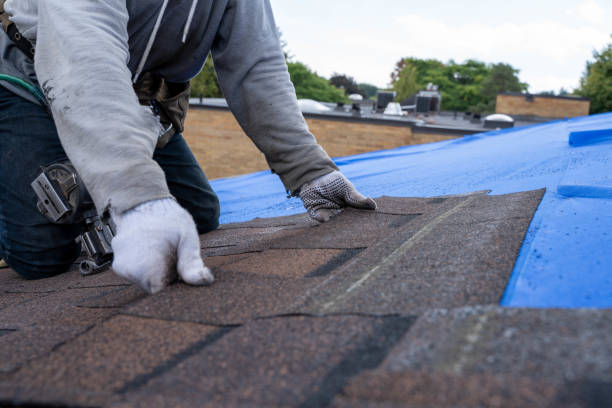 Best Commercial Roofing Services  in Lake Camelot, IL