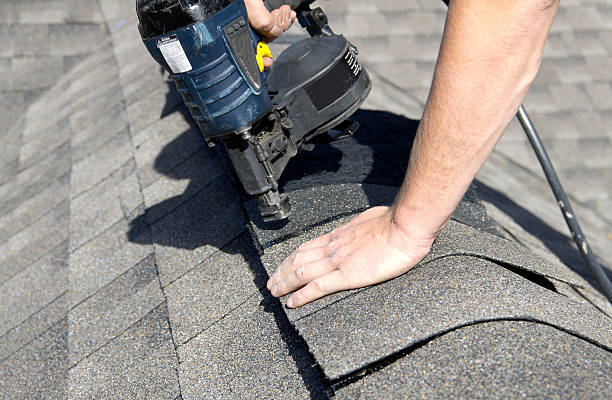 Best Roof Moss and Algae Removal  in Lake Camelot, IL